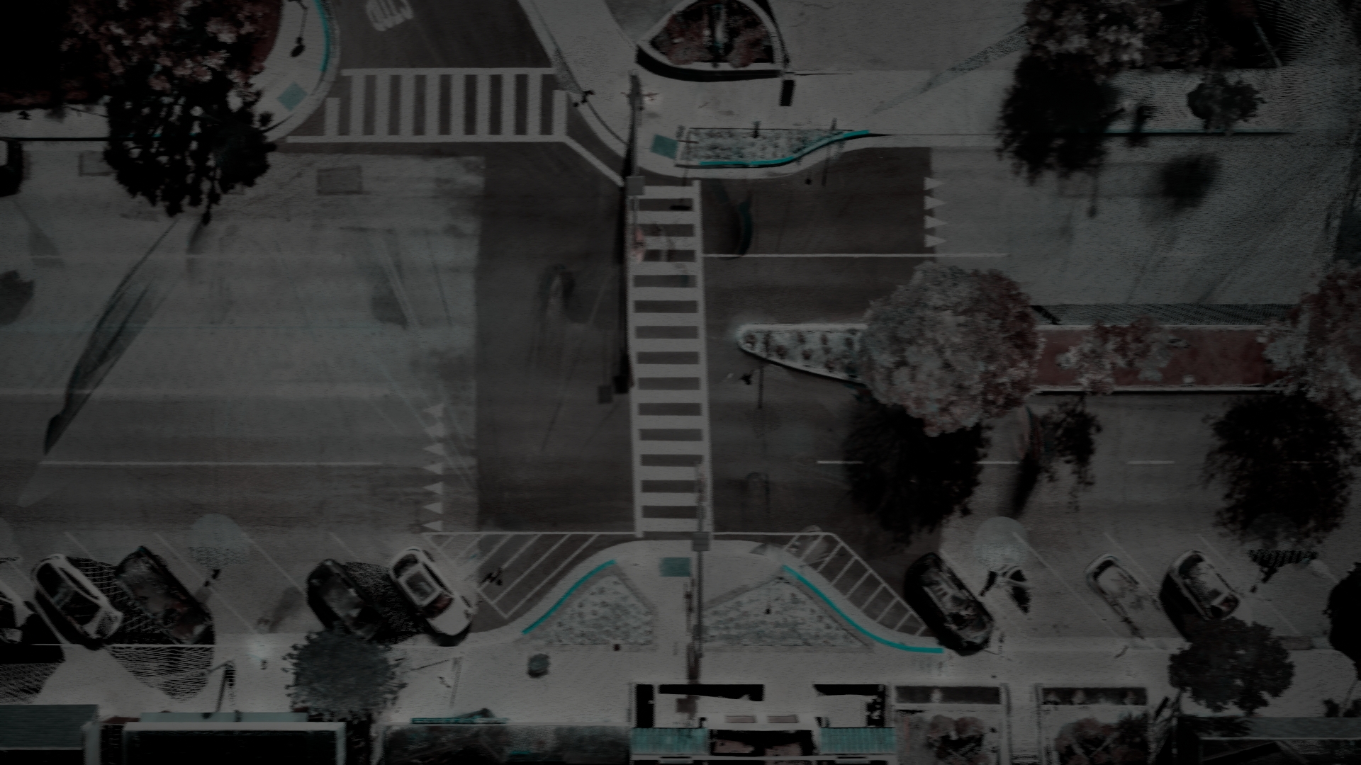 Raw Point Cloud
